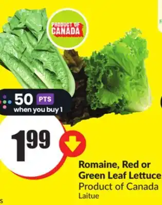 FreshCo Romaine, Red or Green Leaf Lettuce offer