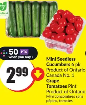 FreshCo Mini Seedless Cucumbers, Grape Tomatoes Pint offer