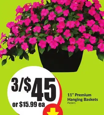 FreshCo 11 Premium Hanging Baskets offer