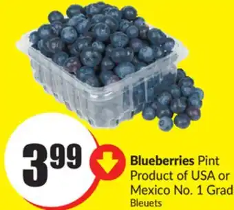 FreshCo Blueberries offer