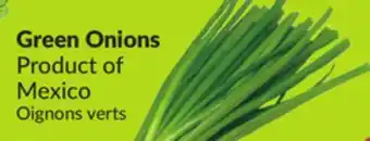 Chalo FreshCo Green Onions offer