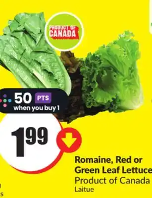 Chalo FreshCo Romaine, Red or Green Leaf Lettuce Product of Canada offer