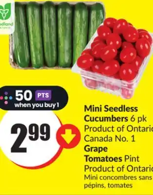 Chalo FreshCo Mini Seedless Cucumbers 6 pk Product of Ontario Canada No. 1 Grape Tomatoes Pint Product of Ontario offer
