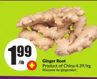 Chalo FreshCo Ginger Root offer