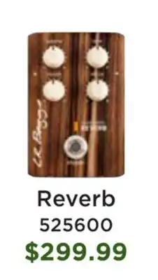 Long & McQuade L.R Baggs Align Series Reverb Acoustic Pedal offer