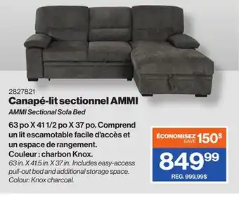 Patrick Morin AMMI Sectional Sofa Bed offer