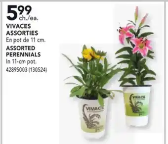 RONA ASSORTED PERENNIALS offer
