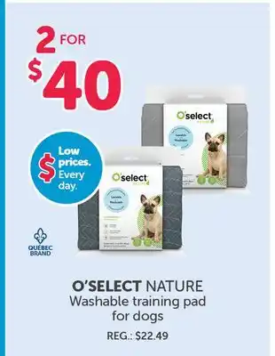 Mondou O'SELECT NATURE Washable training pad for dogs offer