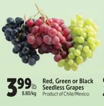 Red, Green or Black Seedless Grapes