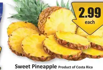 Starsky Sweet Pineapple offer