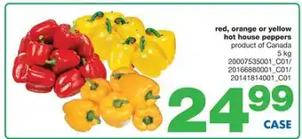 Wholesale Club RED, ORANGE OR YELLOW HOT HOUSE PEPPERS, 5 kg offer