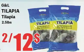 Marche Salaberry G&L TILAPIA offer