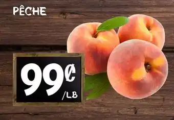 Marche Salaberry Pêche offer