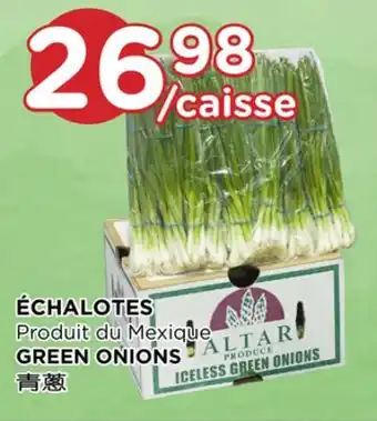 Kim Phat Altar GREEN ONIONS offer