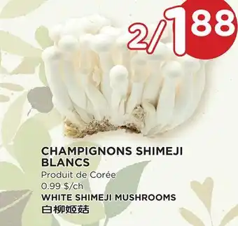 Kim Phat WHITE SHIMEJI MUSHROOMS offer