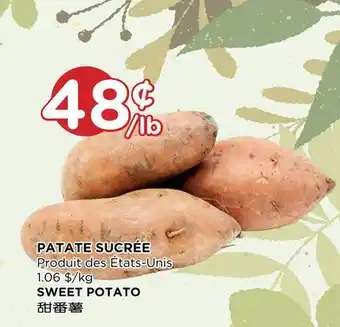 Kim Phat SWEET POTATO offer