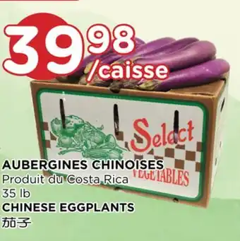Kim Phat CHINESE EGGPLANTS offer