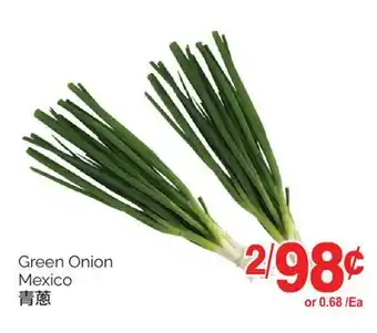 T&T Supermarket GREEN ONION offer