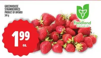 Metro GREENHOUSE STRAWBERRIES offer
