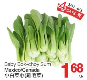 T&T Supermarket BABY BOK-CHOY SUM offer