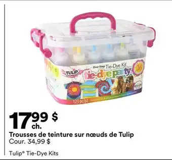 Michaels Trousses de teinture sur nœuds de Tulip offer