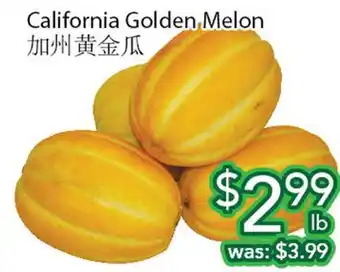 Ample Food Market California Golden Melon offer