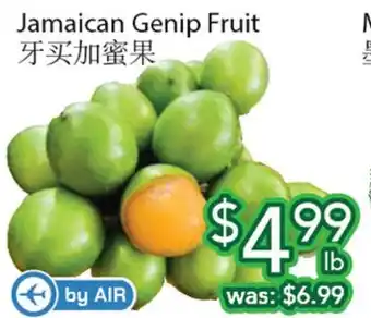 Ample Food Market jamaican Genip Fruit offer