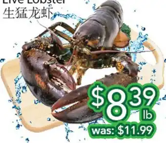 Ample Food Market Live Lobster offer