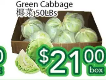 Ample Food Market Green Cabbage offer