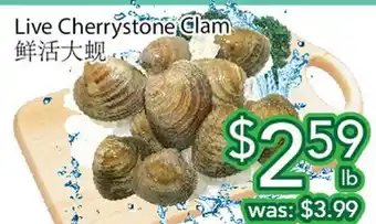 Ample Food Market Live Cherrystone Clam offer