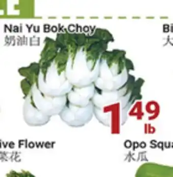 Oceans Fresh Food Market Nai Yu Bok Choy offer