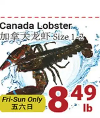 Oceans Fresh Food Market Canada Lobster offer