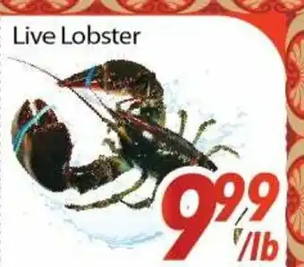 Bestco Food Mart Live Lobster offer
