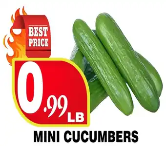 Ugarit Market MINI CUCUMBERS offer