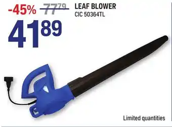 NAPA Auto Parts LEAF BLOWER offer