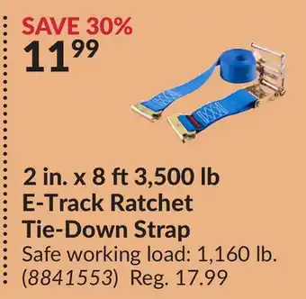 Princess Auto 2 in. x 8 ft3,500 lb E-Track Ratchet Tie-Down Strap offer