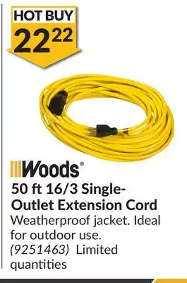 Princess Auto 50 ft 16/3 Single- Outlet Extension Cord offer