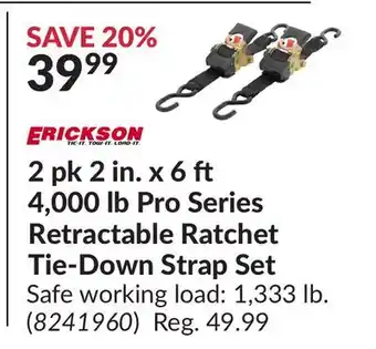 Princess Auto 2 pk 2 in. x 6 4,000 lb Pro Series Retractable Ratchet Tie-Down Strap Set offer