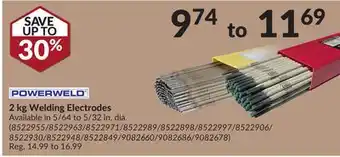 Princess Auto 2 kg Welding Electrodes offer
