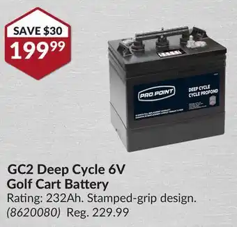 Princess Auto Pro.Point GC2 Deep Cycle 6V Golf Cart Battery offer