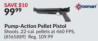 Princess Auto Pump-Action Pellet Pistol offer
