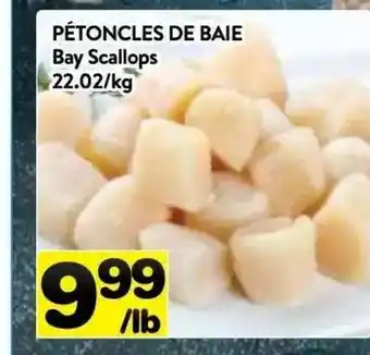 Supermarché PA Bay Scallops offer