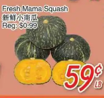 Foody Mart Fresh Mama Squash offer