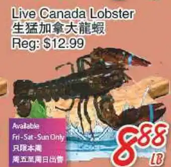 Foody Mart Live Canada Lobster offer