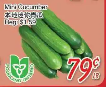 Foody Mart Mini Cucumber offer