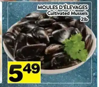 Supermarché PA Cultivated Mussels offer