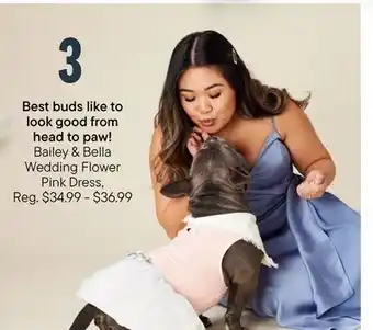 Petvalu Bailey & Bella Wedding Flower pink dress offer