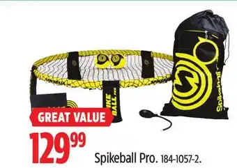 Canadian Tire Spikeball Pro offer