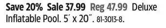 Canadian Tire Inflatable Pool offer