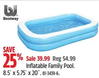 Canadian Tire Bestway Inflatable Family Pool offer